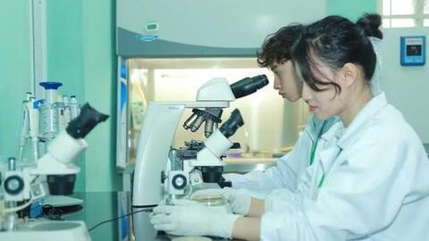 Quy định mức trần học phí với cơ sở giáo dục đại học công lập năm học 2026–2027