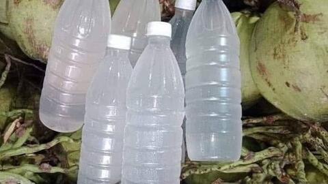 Những lưu ý khi thường xuyên uống nước dừa để tốt cho cơ bắp