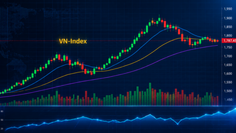 VN-Index bước vào tuần bản lề của mùa báo cáo quý II