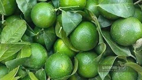 Lý do nước chanh hỗ trợ chức năng gan và cách dùng đúng