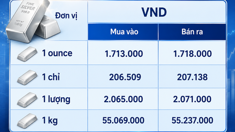Giá bạc hôm nay 13/8/2026: Bứt phá hay quay đầu?