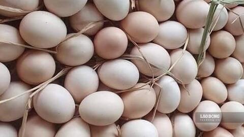 Giải độc gan và trứng: Những điều cần biết