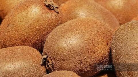 Bổ sung canxi từ loại quả vỏ có lông