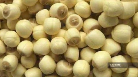 Nguyên nhân chính gây mất ngủ và cách xử lý