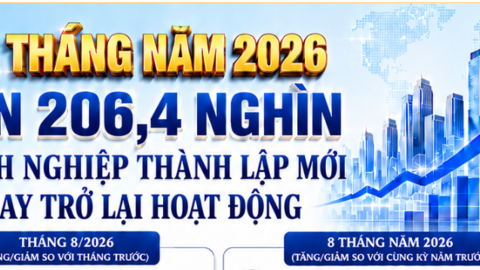 INFOGRAPHIC: Tám tháng năm 2026: Gần 206,4 nghìn doanh nghiệp thành lập mới và quay trở lại hoạt động