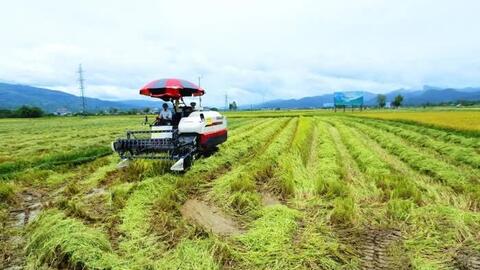 Thống nhất cơ chế thực hiện, đưa chương trình mục tiêu quốc gia tích hợp vào cuộc sống