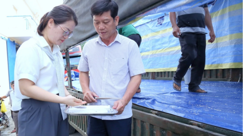 Xác định nội dung kiểm tra chuyên ngành về dự trữ quốc gia