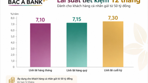 Lãi suất - tỷ giá hôm nay: BAC A BANK thêm mức 7,3%/năm, USD tăng trở lại