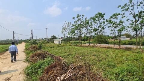Ủy ban Thường vụ Quốc hội cho ý kiến về dự án Luật Đất đai (sửa đổi)