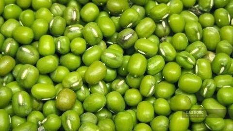 Những thực phẩm bệnh nhân gout nên ăn