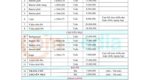 Báo giá website năm 2024