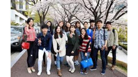 Du học sinh Hàn Quốc dùng bằng giả