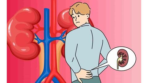 10 thực phẩm bổ thận nên có trong bữa ăn