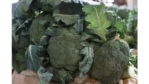 Cách chế biến bông cải xanh giúp giữ tối đa chất chống oxy hóa