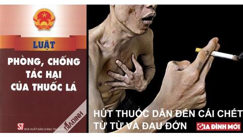 Hiểu rõ tác hại thuốc lá để tránh xa thuốc lá