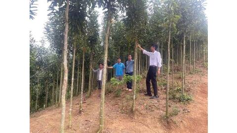 Nhà giáo giữ bình yên nơi cực Tây Tổ quốc