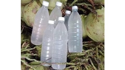 Những lưu ý khi thường xuyên uống nước dừa để tốt cho cơ bắp