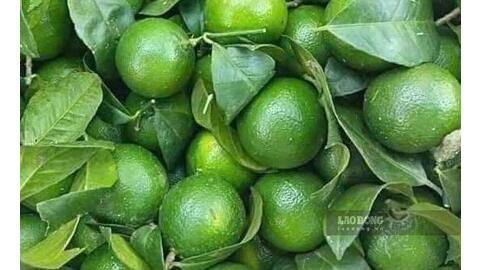 Lý do nước chanh hỗ trợ chức năng gan và cách dùng đúng