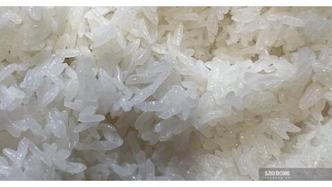 Ăn cơm trắng vừa đủ để không ảnh hưởng tới gan