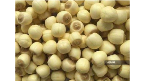 Nguyên nhân chính gây mất ngủ và cách xử lý