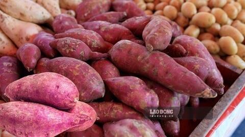 Lời khuyên dành cho những người hay ăn sáng bằng khoai lang
