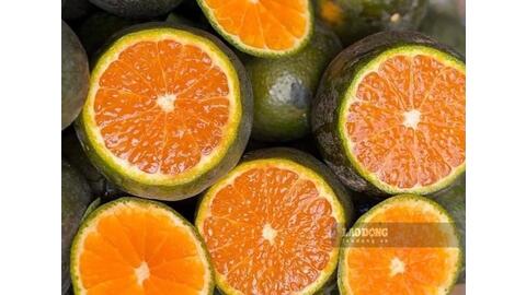2 loại trái cây có múi tốt cho mắt