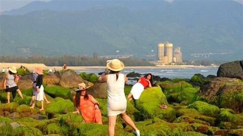 Về biển Nam Ô săn “lệ đá”