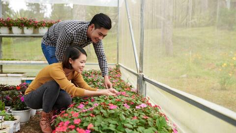 Đà Lạt lọt vào top những điểm đến hàng đầu ngắm hoa trên thế giới