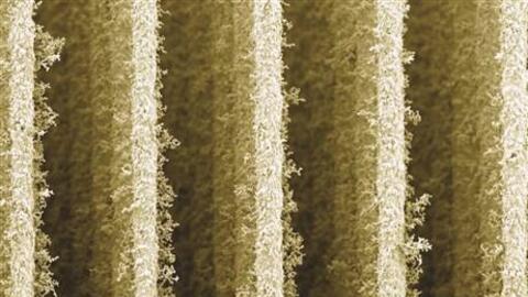 "Nhà cao tầng nano" chuyển ánh nắng thành điện