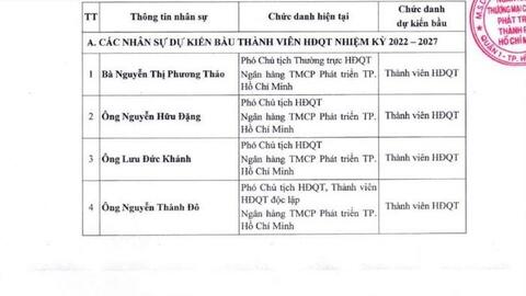 Bà Lê Thị Băng Tâm sắp rời ghế Chủ tịch HDBank