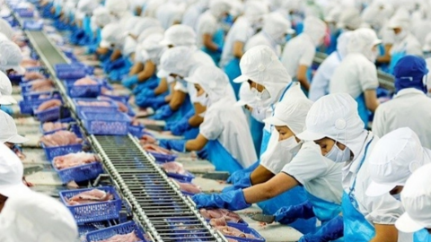 Vĩnh Hoàn (VHC): Lãi quý I tăng hơn 4 lần, hàng tồn kho tăng 34%