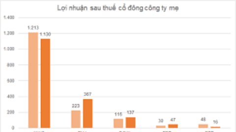 Doanh nghiệp bán lẻ giảm tốc