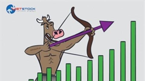 Hơn 15.3 triệu cp EMC sẽ bị hủy niêm yết bắt buộc