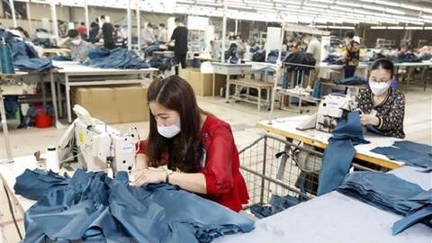 OECD dự báo kinh tế Việt Nam tăng trưởng 4,9% năm 2023