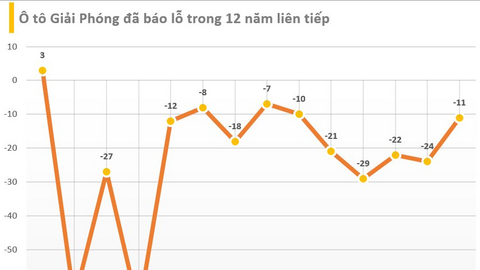 Một thương hiệu Ô tô Việt ghi nhận doanh thu 9 tháng chỉ bằng một chiếc xe VinFast VFe34 , lỗ 12 năm liên tiếp, tiền mặt chỉ còn vài trăm triệu