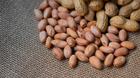 Lạc tốt cho sức khỏe nhưng đại kỵ với những người này