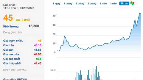 Doanh nghiệp thuỷ điện muốn nâng cổ tức lên 30% dù lợi nhuận đi lùi, cổ phiếu “nhăm nhe” đỉnh lịch sử