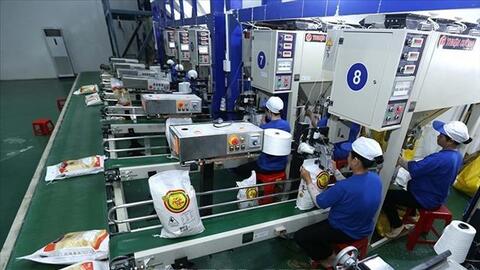 Giá gạo Việt Nam tăng lên mức cao nhất trong hơn 15 năm