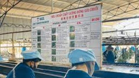 HAG có công ty con mới