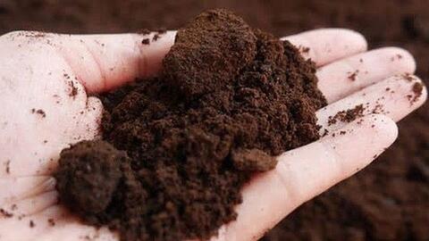 Sinh viên đề xuất giải pháp bảo vệ môi trường