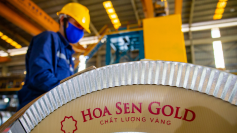 Hoa Sen (HSG) lên kế hoạch IPO một công ty con