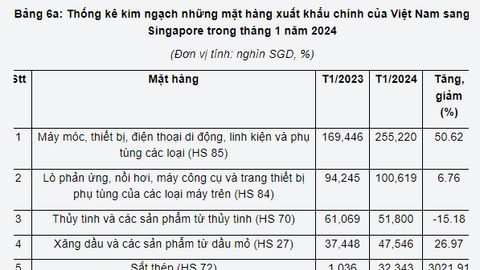 Thị trường Singapore đa dạng hàng hóa Việt Nam: Sản phẩm nào đang chiếm sóng tại Quốc đảo Sư Tử?