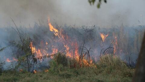TP HCM: Cây cỏ ở Khu Công nghệ cao cháy ngùn ngụt, khu Đại học Quốc gia bị ảnh hưởng