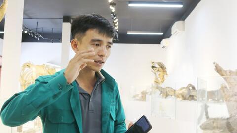 Chuyện người bỏ phố về rừng đồng hành cùng động vật hoang dã