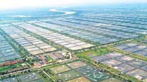 Tỉnh "sát vách" với TP.HCM được chuyển đổi hơn 73 ha đất trồng lúa để làm KĐT hơn 4.000 tỷ đồng