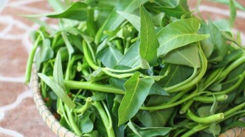 2 loại rau mùa hè giá rẻ là "kho báu" vitamin C, hạ đường huyết hiệu quả, nhuận tràng, bổ máu: Dễ kiếm ở chợ Việt