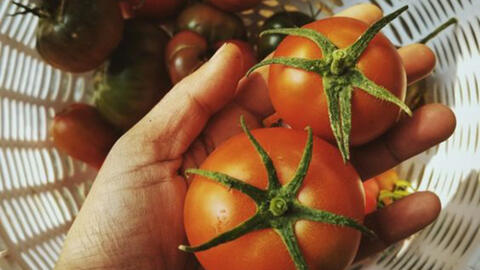 Loại cá là "kho omega-3 và chất sắt" cực tốt cho sức khỏe tim mạch, chợ Việt bán đầy giá lại rẻ