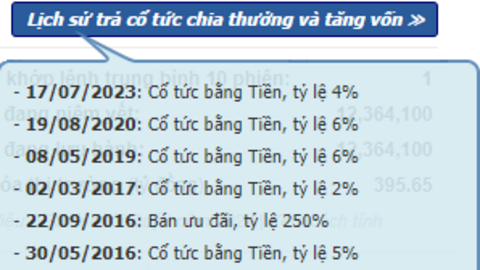 Doanh nghiệp có cổ đông lớn liên quan Vạn Thịnh Phát dốc hết hầu bao trả cổ tức tiền mặt cao kỷ lục