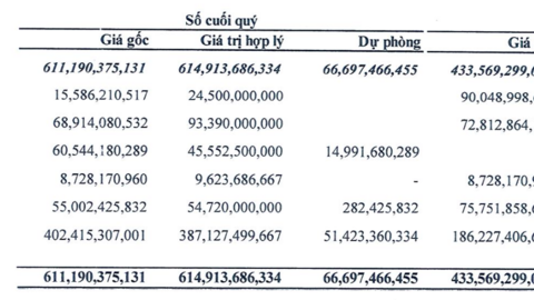 Doanh nghiệp bất động sản đem gần nửa tài sản đi đầu tư chứng khoán, lãi lớn với HPG, DGC nhưng lỗ nặng với cổ phiếu NVL