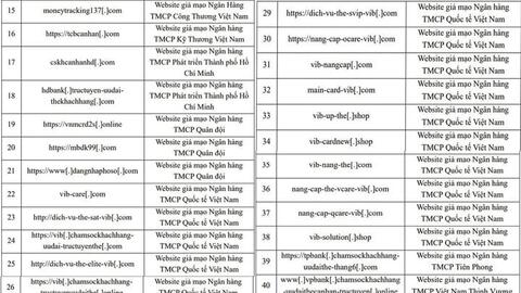 Chỉ trong 1 tháng phát hiện 28 website giả mạo ngân hàng
